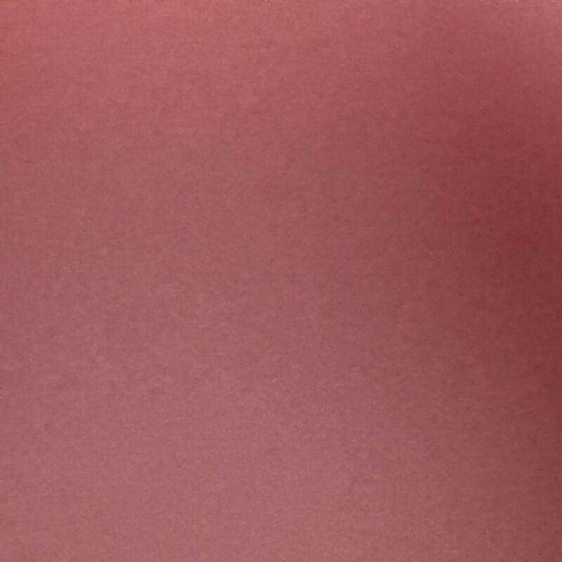 Profile picture of Seyyida